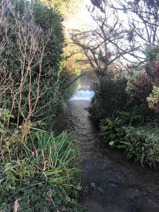 Eco-friendly Dorset With Set In Heart Of Countryside